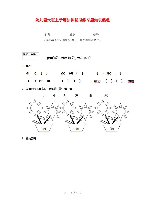幼儿园大班上学期知识复习练习题知识整理