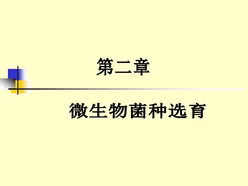 发酵工程-第二章
