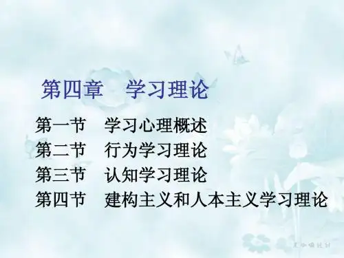 第四章学习理论