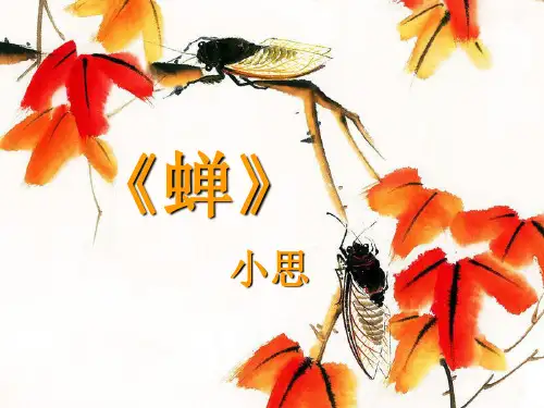 《蝉》小思公开课获奖课件