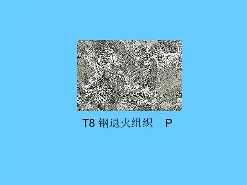 T8 钢退火组织