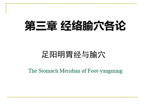 足阳明胃经
