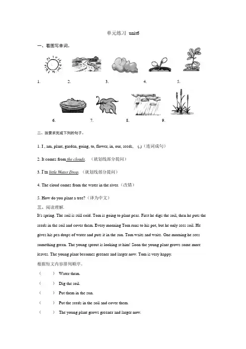 六年级上册英语单元练习 unit6