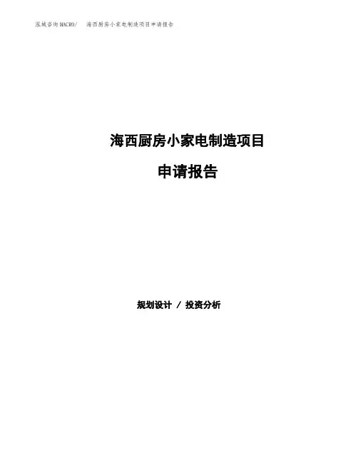 海西厨房小家电制造项目申请报告
