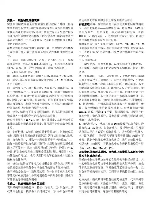 遗传学实验