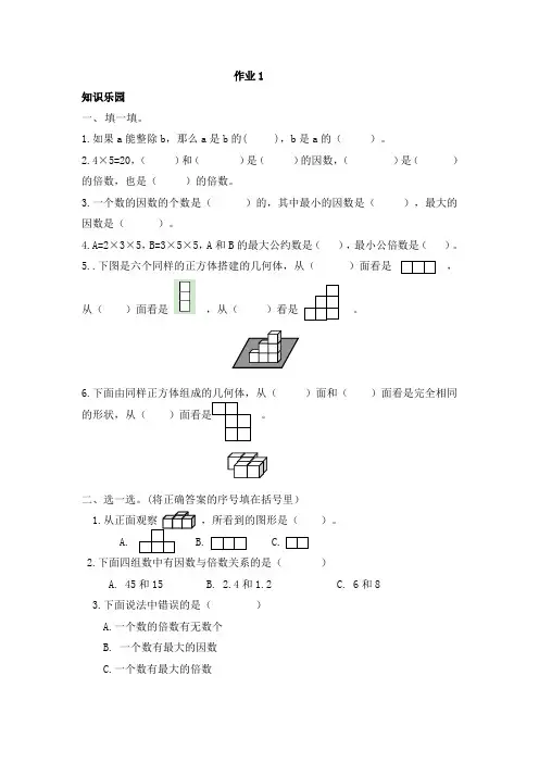 五年级数学 寒假作业 10套作业