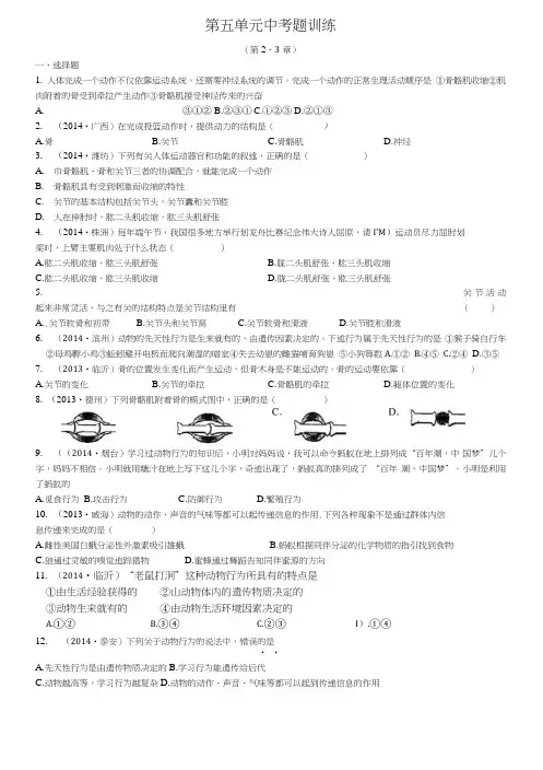 人教版八年级上册生物第五单元第二三章《专题训练》(含答案).doc