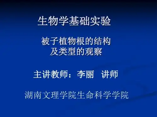 实验5--被子植物各器官的形态结构 PPT课件