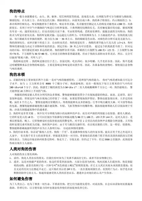 狗的特点