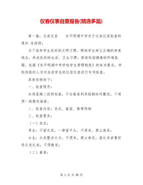 仪容仪表自查报告(精选多篇)