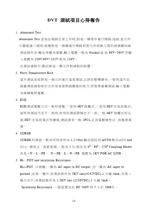 DVT测试项目心得报告