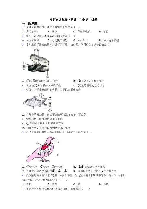 深圳市八年级上册期中生物期中试卷