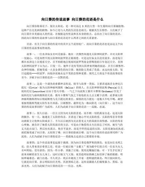 向日葵的传说故事 向日葵的花语是什么
