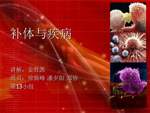 --医学PPT课件补体与疾病