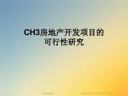 CH3房地产开发项目的可行性研究