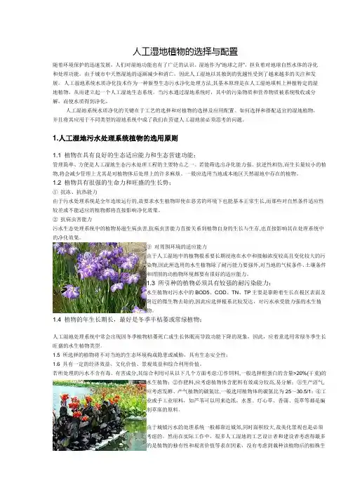 人工湿地植物的选择与配置 2