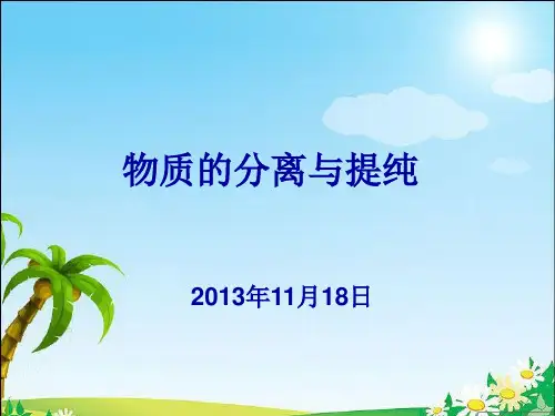 《物质的分离提纯》PPT课件