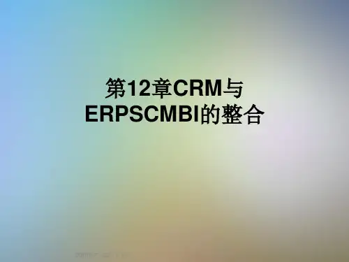 第12章CRM与ERPSCMBI的整合