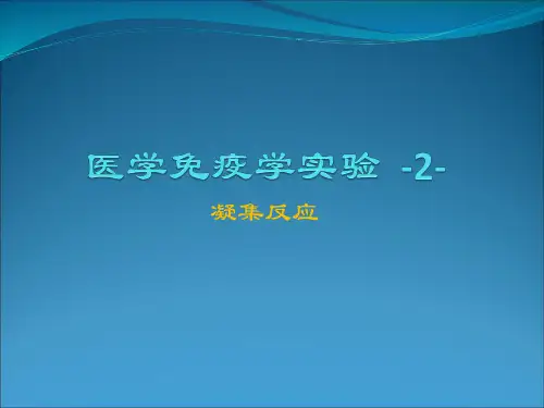 免疫学实验课 凝集反应
