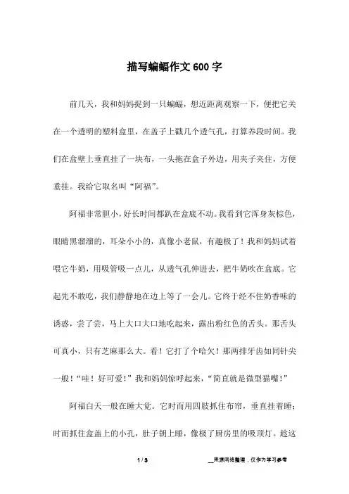 描写蝙蝠作文600字
