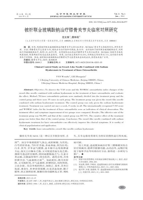 铍针联合玻璃酸钠治疗膝骨关节炎临床对照研究-范文哲,雷仲民