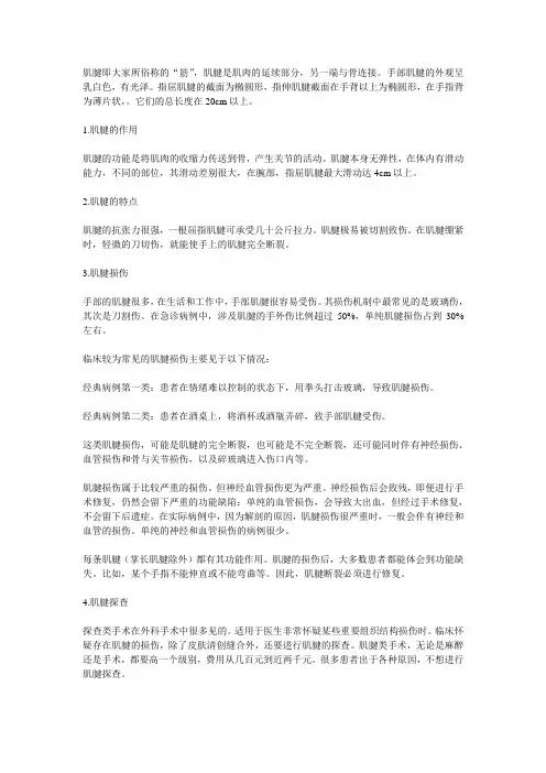 肌腱损伤修复与锻炼