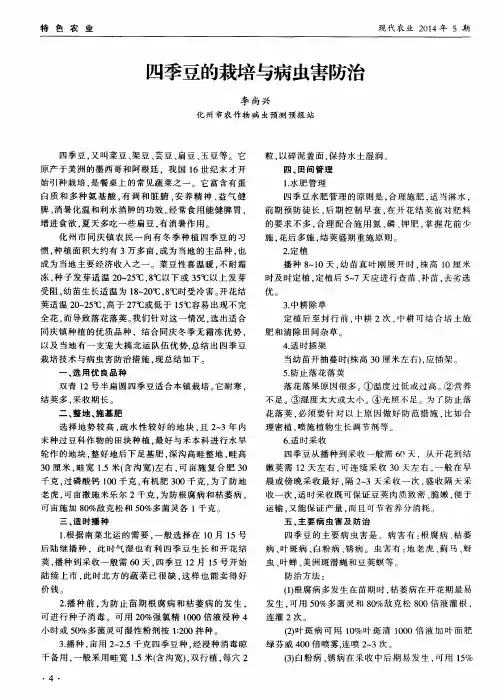 四季豆的栽培与病虫害防治