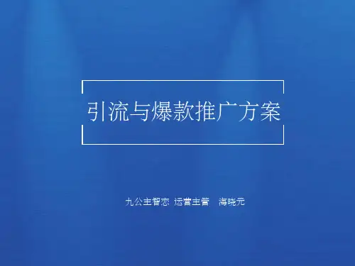 如何引流和打造爆款商品