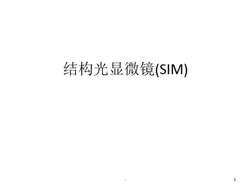 结构光显微镜(SIM)ppt课件
