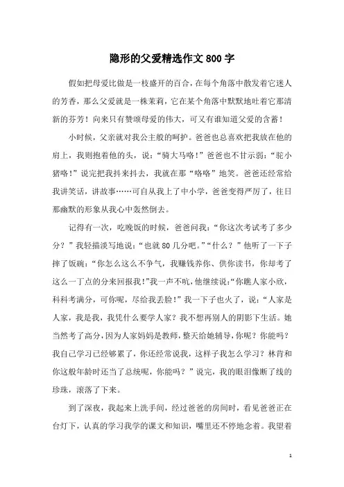 隐形的父爱精选作文800字