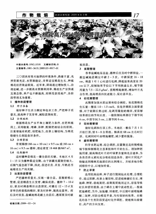 棉花高产栽培阶段管理措施