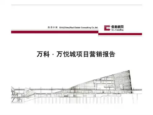 伟业年长沙万科_万悦城项目营销报告