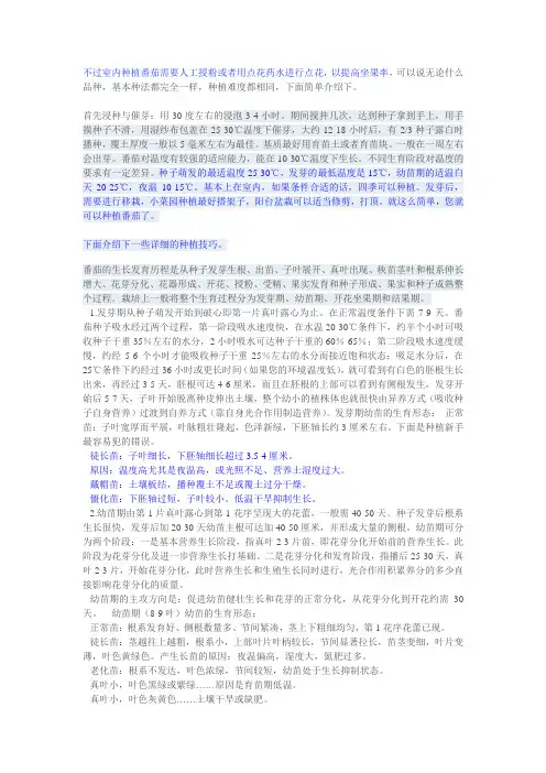 小西红柿种植