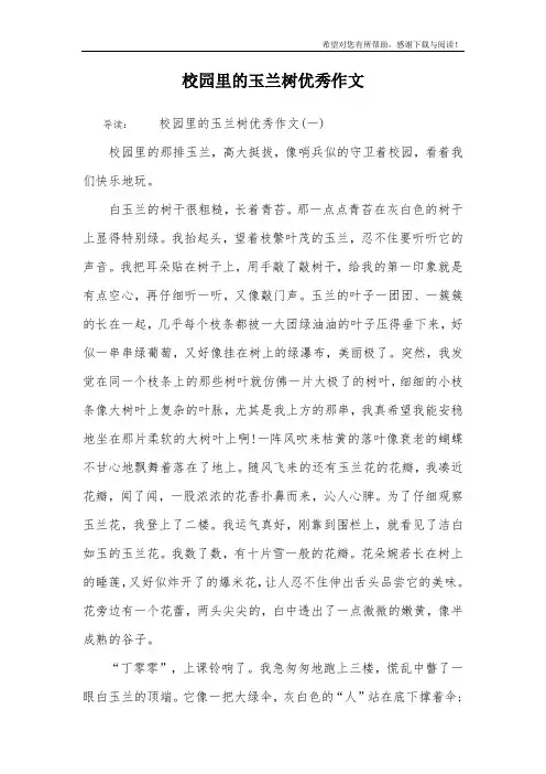 校园里的玉兰树优秀作文 2
