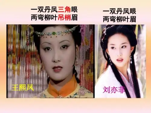 【优选整合】人教版高中语文必修5第3单元第8课咬文嚼字课件2 (共33张PPT)