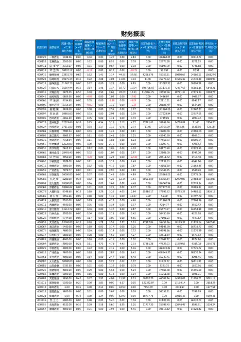 财务报表excel模板