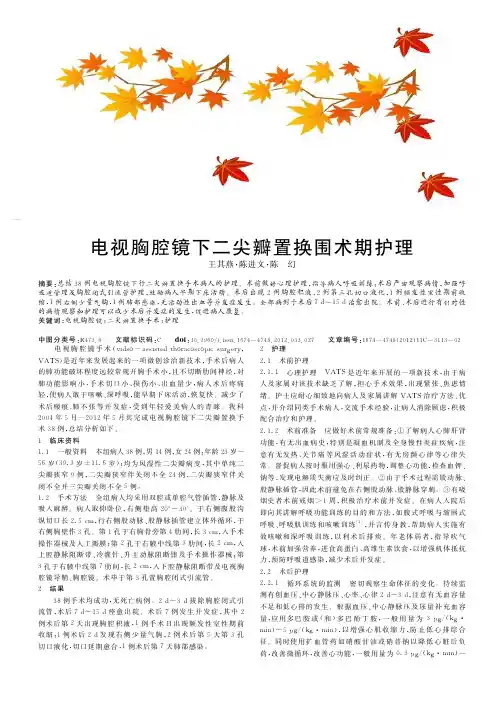 电视胸腔镜下二尖瓣置换围术期护理