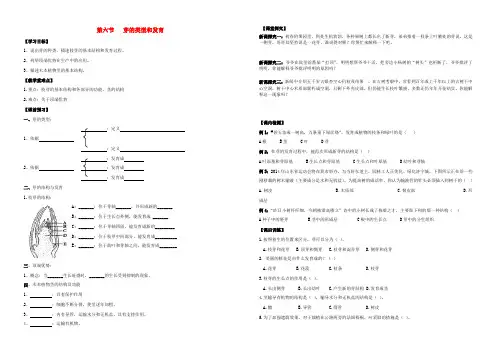 八年级生物第一章第六节 芽的类型和结构学案济南版
