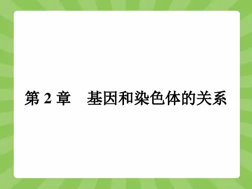人教课标版高中生物必修2第2章减数分裂和受精作用2