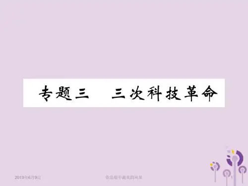 中考历史总复习第二编热点专题突破专题三次科技革命