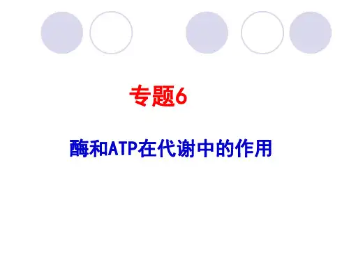 2011生物高考题分类汇编ppt课件必修1专题6酶和ATP在代谢中的作用