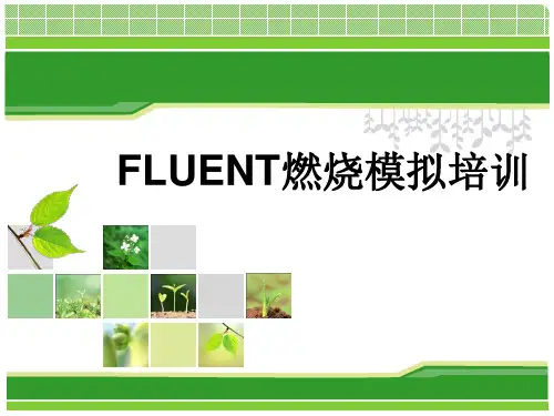第一章 燃烧模拟简介