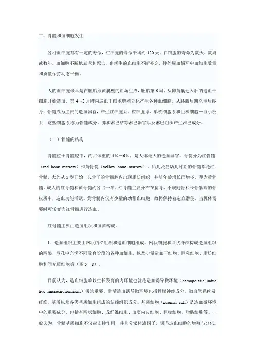 骨髓和血细胞发生