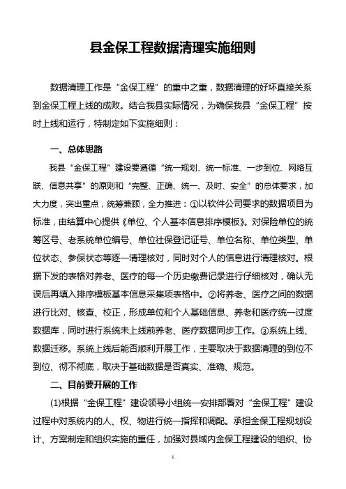 数据清理实施方案