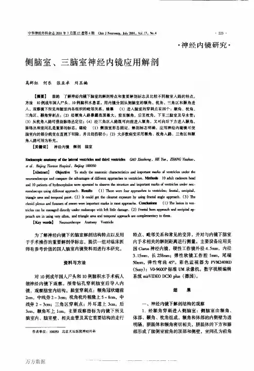 侧脑室、三脑室神经内镜应用解剖
