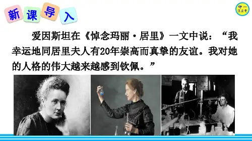 部编八年级语文上册-美丽的颜色(附习题)