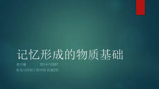 记忆形成的物质基础