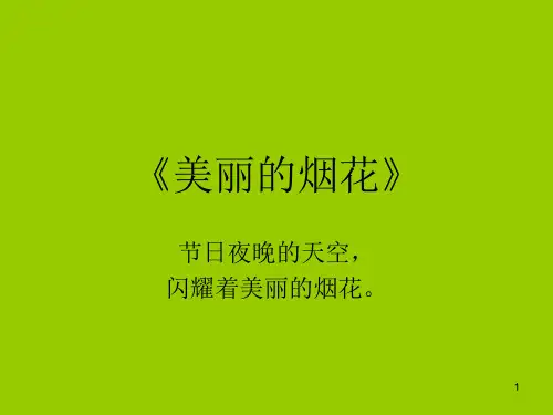 美丽的烟花美术ppt课件