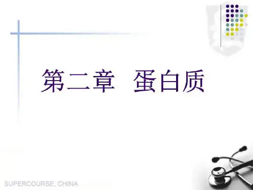 蛋白质ppt-精
