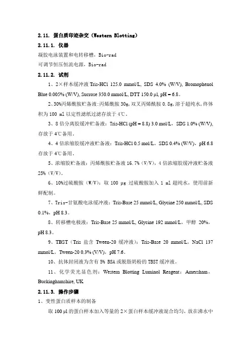 Western blot实验方法